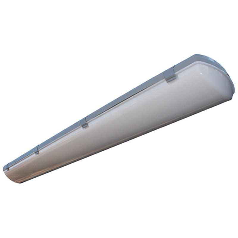 Потолочный светильник IP65 ДСП-05-002 Матовый